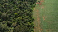 Amazon states fail to listen to communities about carbon credits