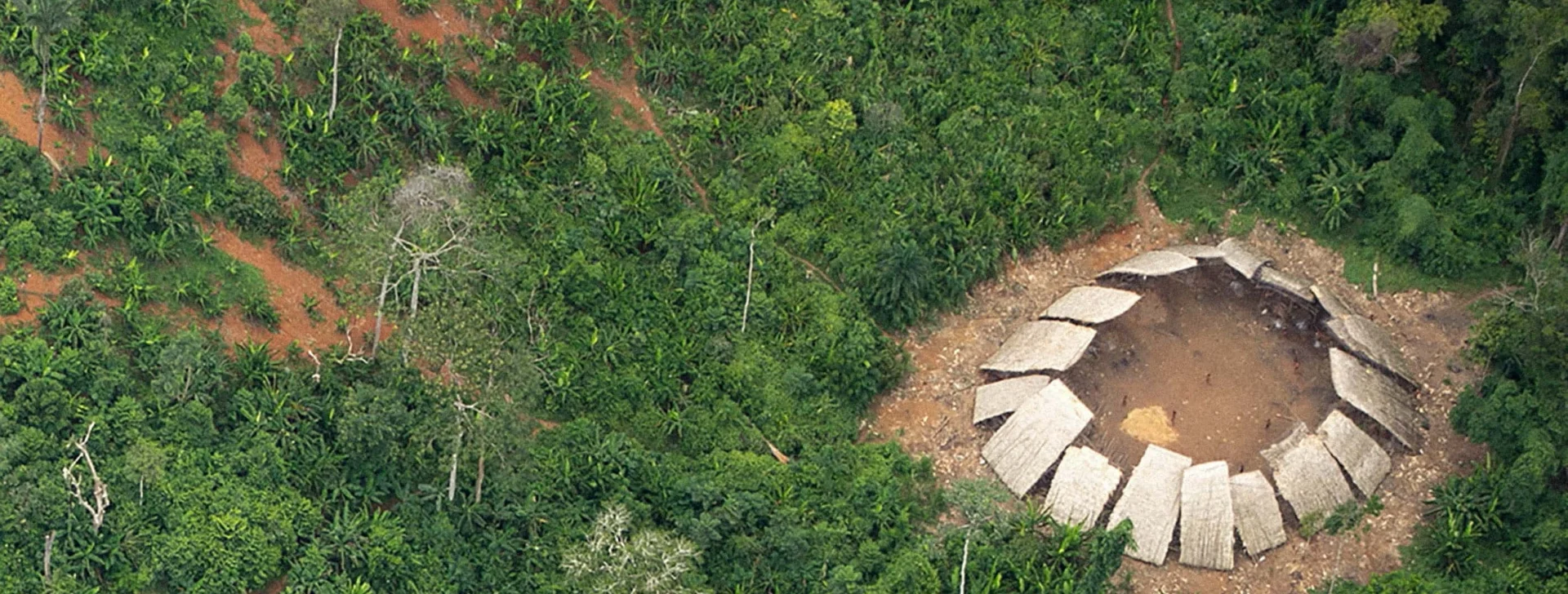 Metade dos povos isolados pode desaparecer em 10 anos, aponta Survival