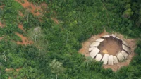 Metade dos povos isolados pode desaparecer em 10 anos, aponta Survival
