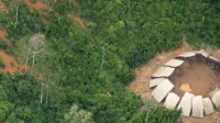 Half of the isolated Indigenous peoples could disappear within 10 years
