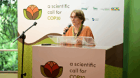 Em Manaus, cientistas de 30 países pedem ação global pela Amazônia na COP30
