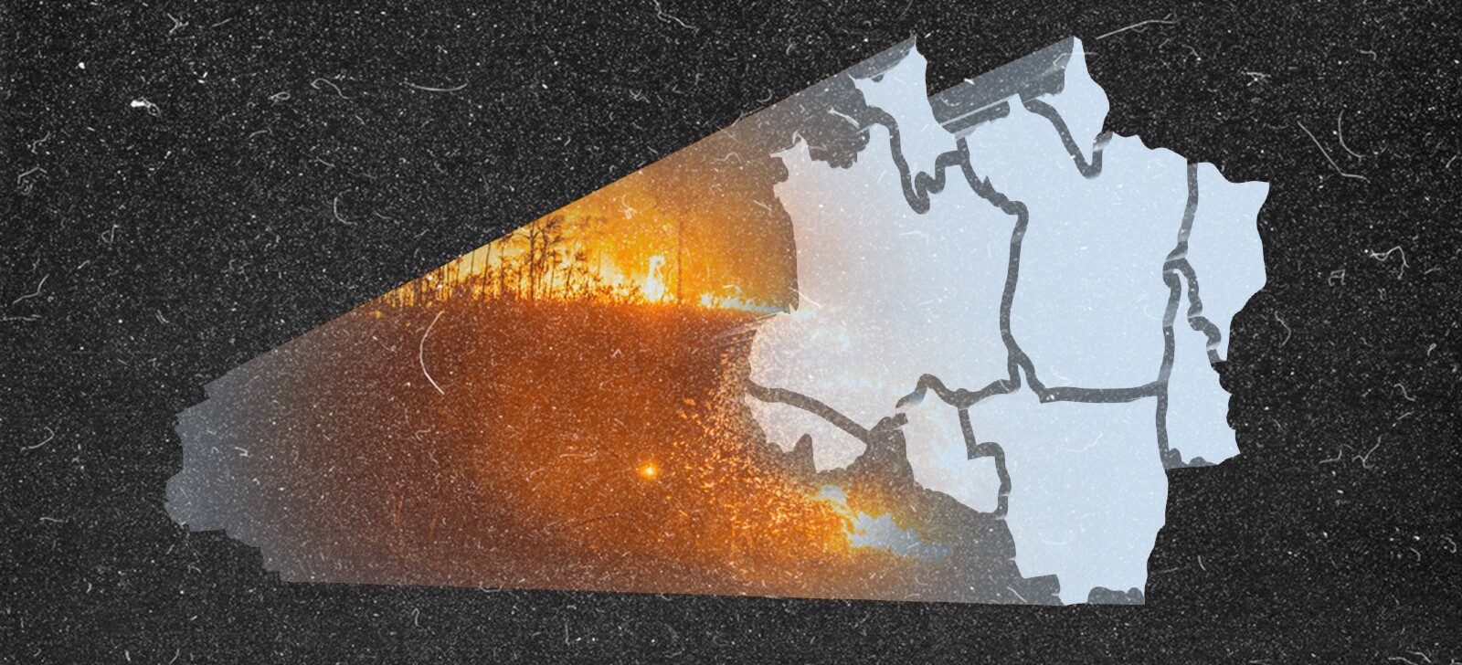 Survey points out failure to ensure accessible data on environmental crimes in the Amazon