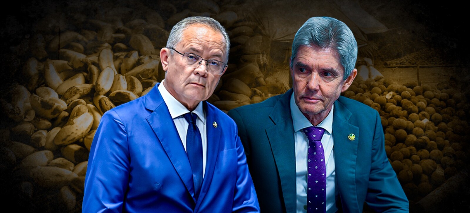 Aprovação da castanha-do-pará como manifestação cultural gera provocações entre senadores