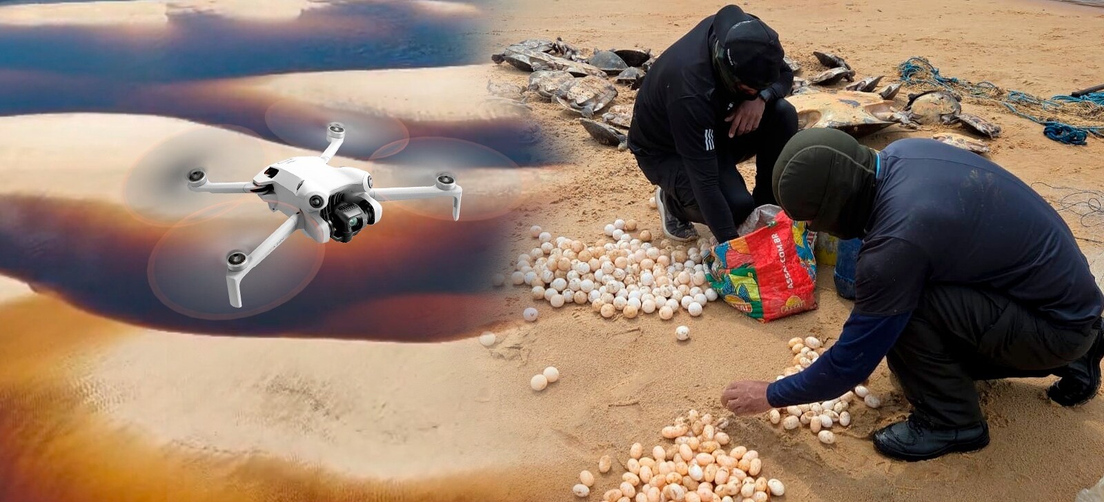 Drones reforçam proteção de quelônios no Parque Nacional de Anavilhanas, no AM