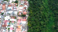 Da floresta à cidade: especialistas apontam como Manaus pode usar natureza para se adaptar ao futuro