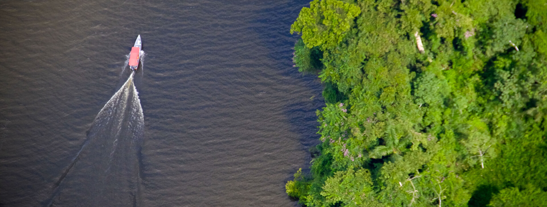 Fundo Amazônia vai destinar R$ 81,2 milhões para projeto no Pará