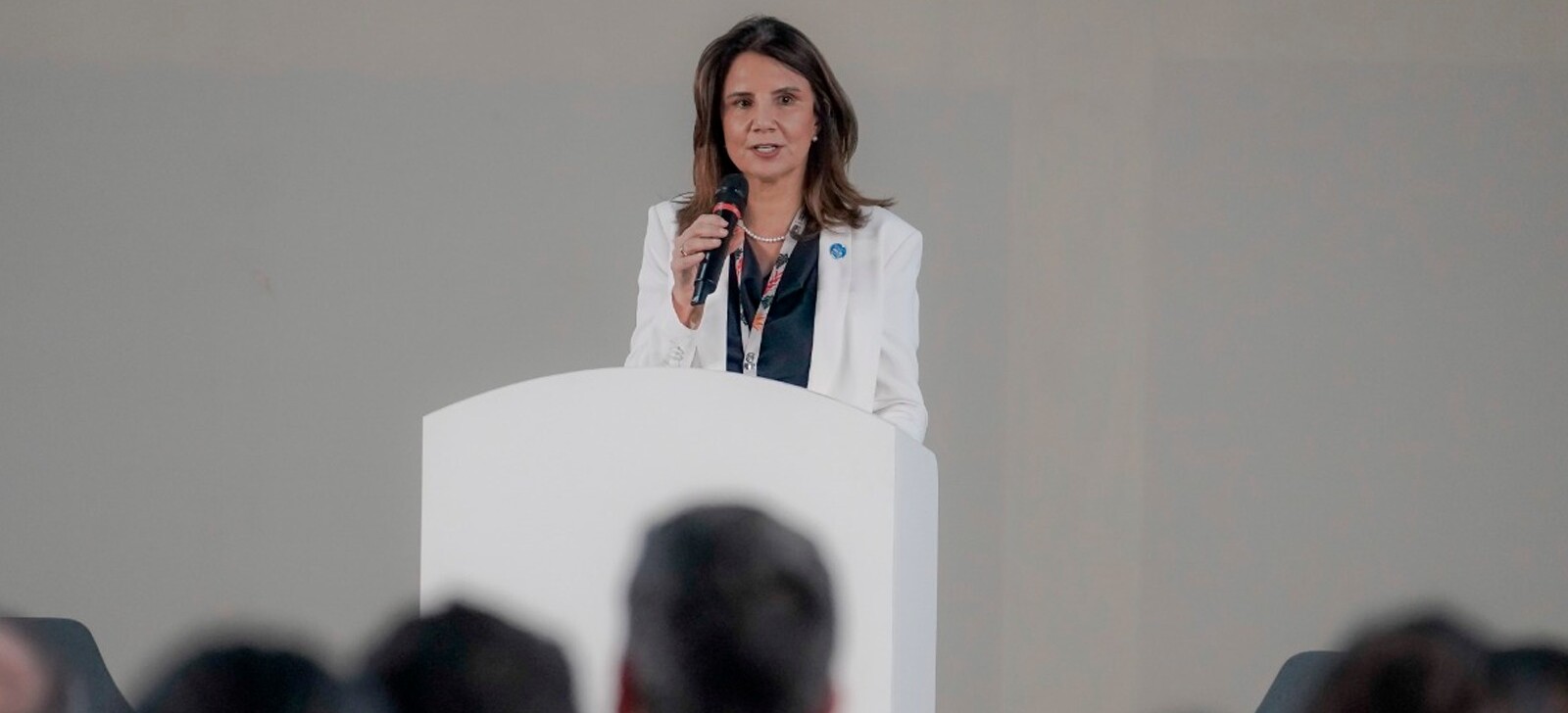 COP30 CEO says event in Belém ‘is about implementation’