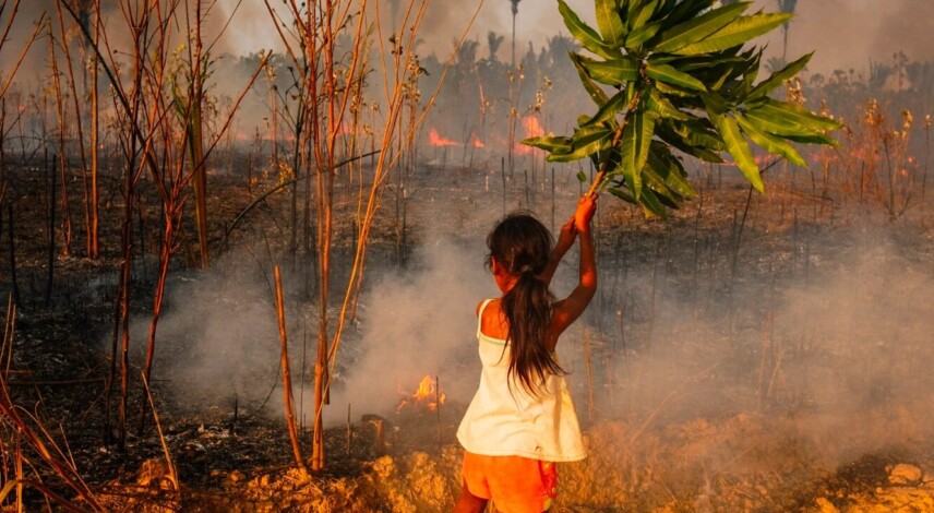 TV CENARIUM premieres DOC Amazon In the Line of Fire