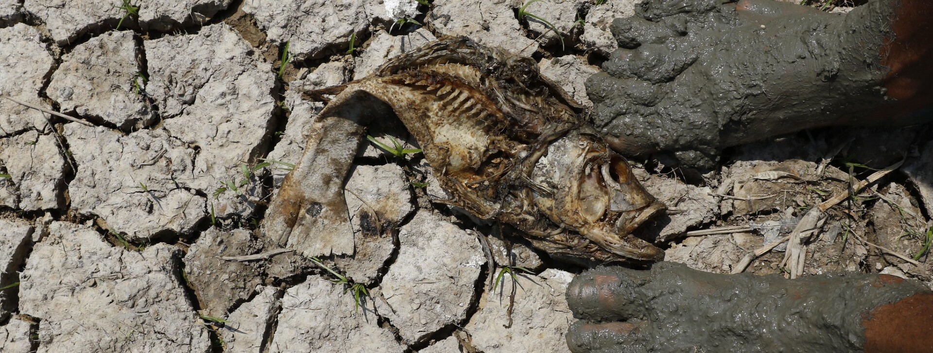 Climate crisis could create a shortfall of US$ 339 billion per year