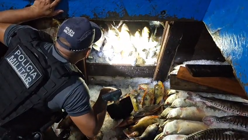 Ibama apreende quase três toneladas de pescado ilegal no AM; infrator é multado