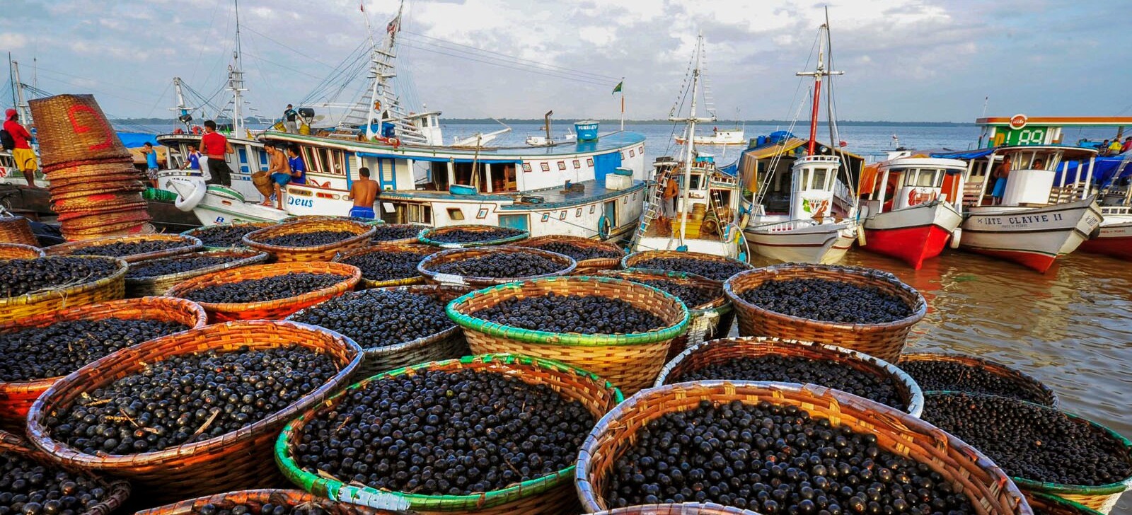 COP30: bioeconomia da Amazônia receberá R$ 20 bilhões em novos incentivos