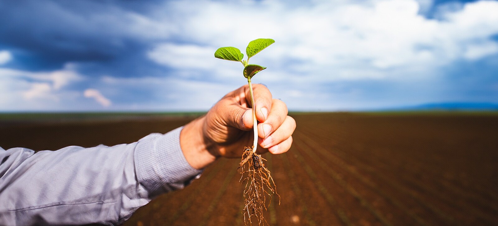 Meio ambiente deve ser decisivo nas eleições de 2026, aponta pesquisa