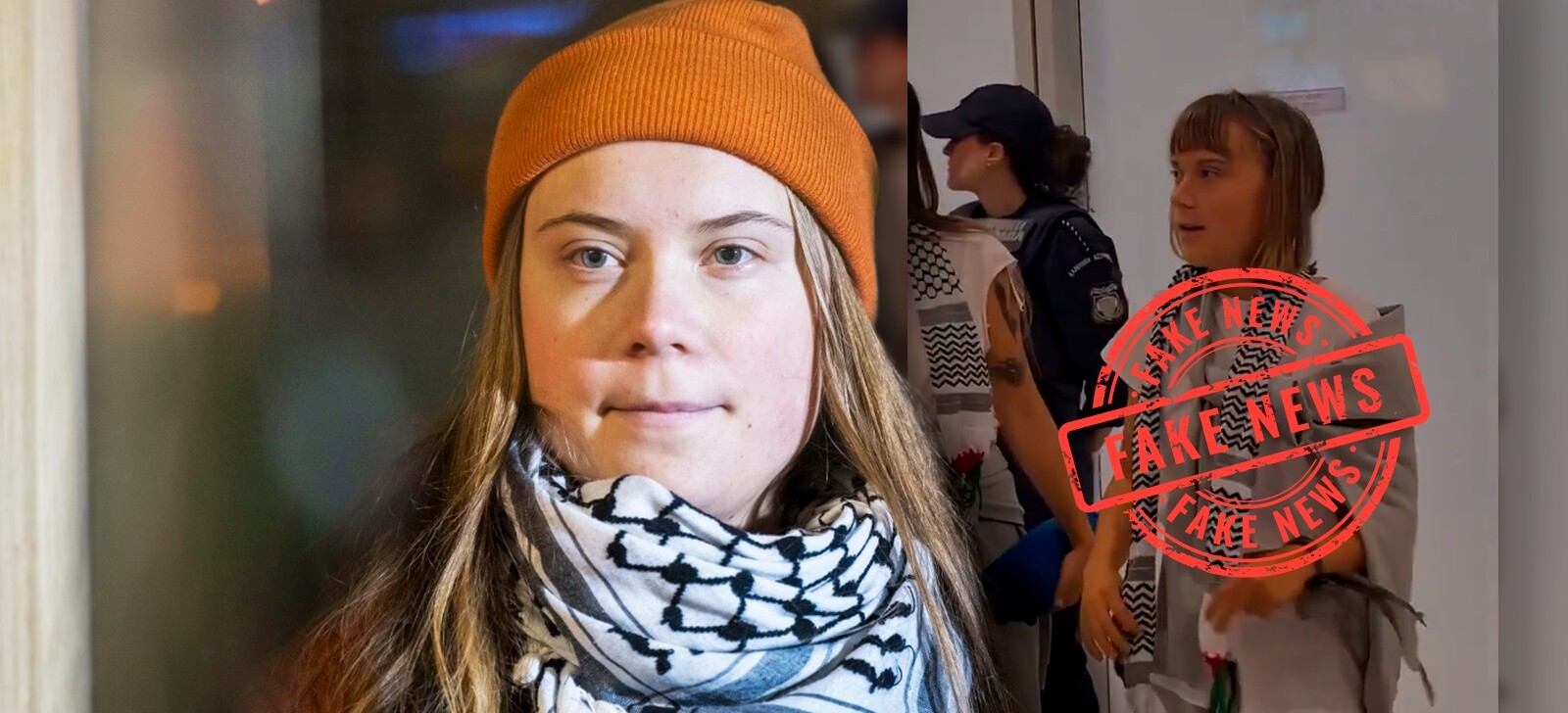 É falso que Greta Thunberg está na COP30; entenda