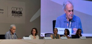 Degradação da Amazônia pode gerar duas pandemias por década, diz climatologista