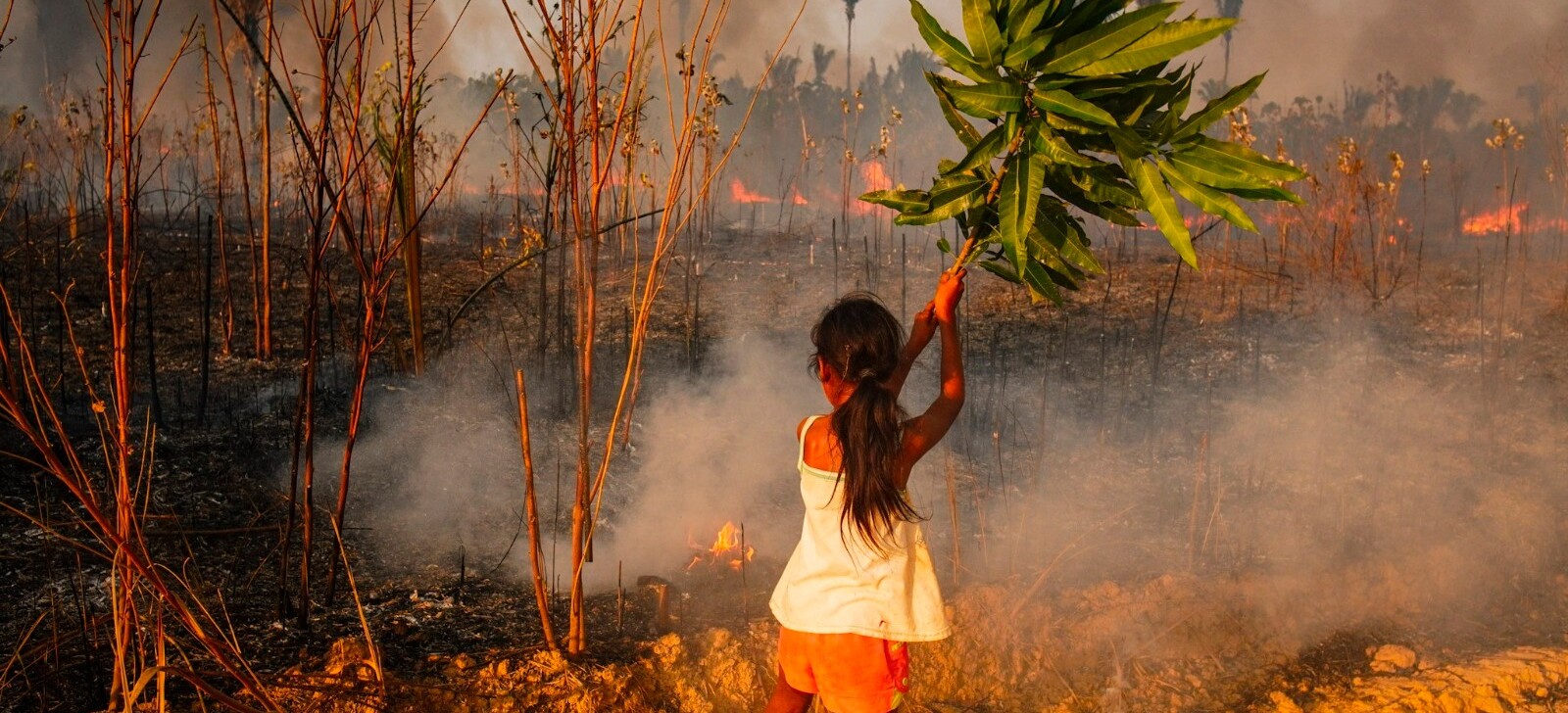 TV CENARIUM lança DOC ‘Amazônia na Linha do Fogo’