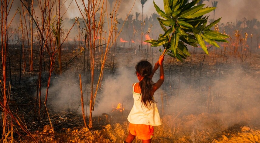 TV CENARIUM lança DOC 'Amazônia na Linha do Fogo'